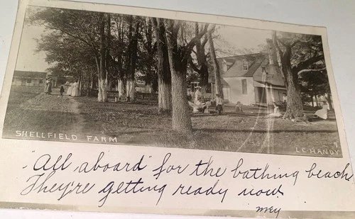 Rare Antique American Shellfield Farm VA Potomac Resort Photo Postcard RPPC Lot!