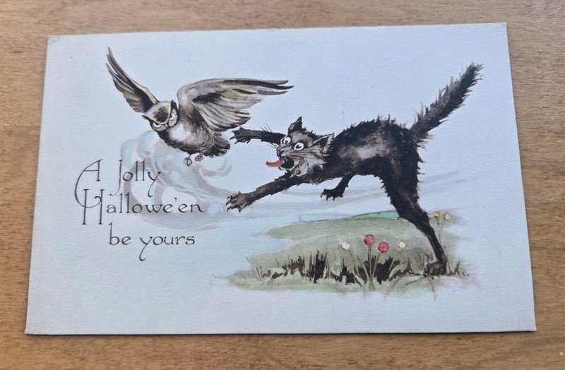 Handcolored Gibson Halloween Postcard Of Black Cat Chasing Owl