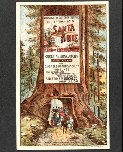 Mariposa Grove California Santa Abie Cure Oroville Big Tree Rare Trade Card j.US