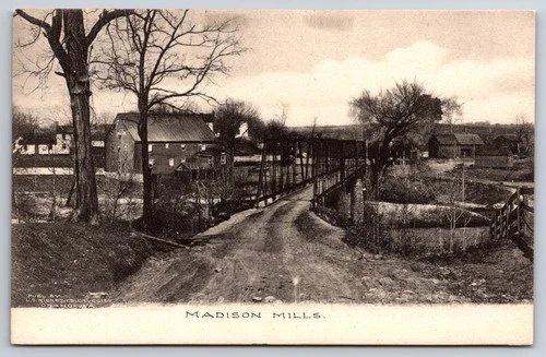 Madison Mills Orange Virginia VA Bridge Silk Mill Albertype 1907 Postcard