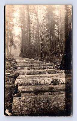 Logging Skid Road in Forest RPPC White Rock British Columbia Lumber Photo 1911