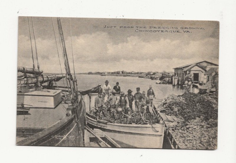 NICE EARLY CHINCOTEAGUE VA OYSTER BOAT SCENE - OYSTERS GALORE - H H DRUG STORE