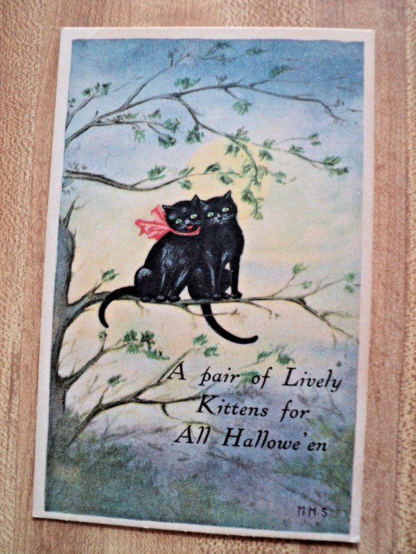 HALLOWEEN 2 Black Cat Kittens in a Tree vintage Chas. S. Clark Co. 122 Postcard
