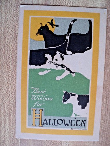 HALLOWEEN Flying Witch & 4 Cats vintage Gibson Lines Postcard