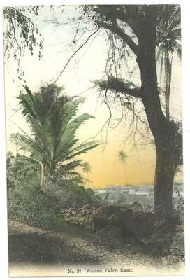 Kauai, Hawaii, Waimea Valley, pub. by Hilo Drug Co, hand-colored in Japan, 1910