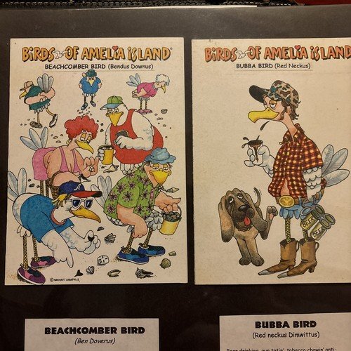 Birds Of Amelia Island Comic Postcards Lot Fernandina Beach Florida Local Humor
