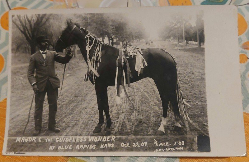 1914 RPPC MAJOR L GUIDELESS WONDER HORSE BLUE RAPIDS KANSAS Postcard