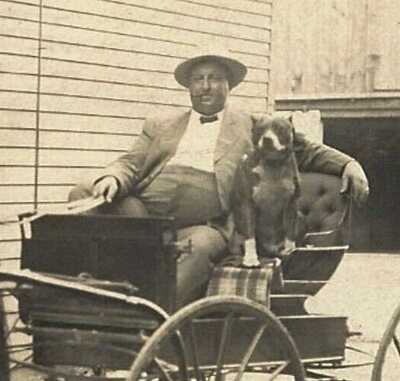 1910 Dog~Pit Bull Terrier Rides Shotgun w Portly Man~Vintage Real Photo Postcard