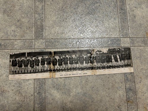 original 1908 ST. LOUIS BROWNS major league baseball team PANORAMIC POSTCARD
