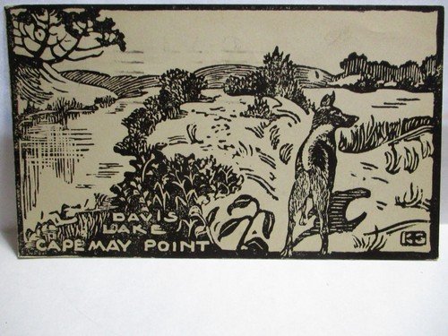 1934 KATHERINE SCHMUCKER DRAWN POSTCARD " DAVIS LAKE, CAPE MAY POINT " NJ RARE