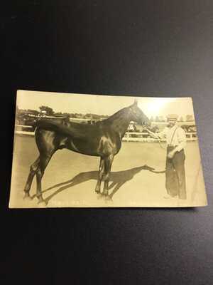 1908 Race Horse RPPC - Minor Heir - Peoria, Illinois